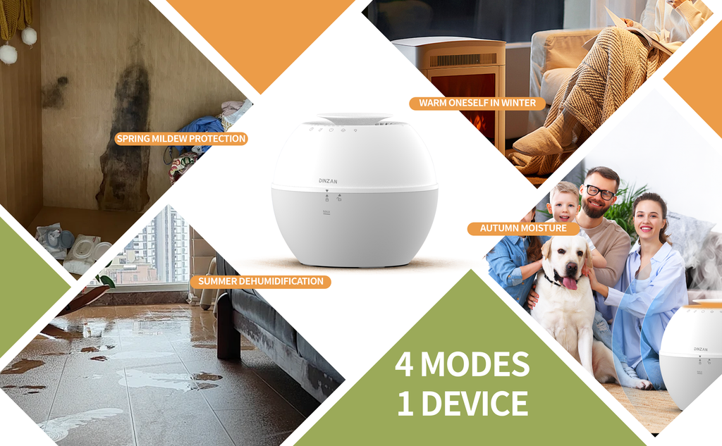 The Ultimate Guide to Year-Round Comfort: How the DINZAN 3-in-1 Humidifier, Dehumidifier & Air Purifier Transforms Your Space