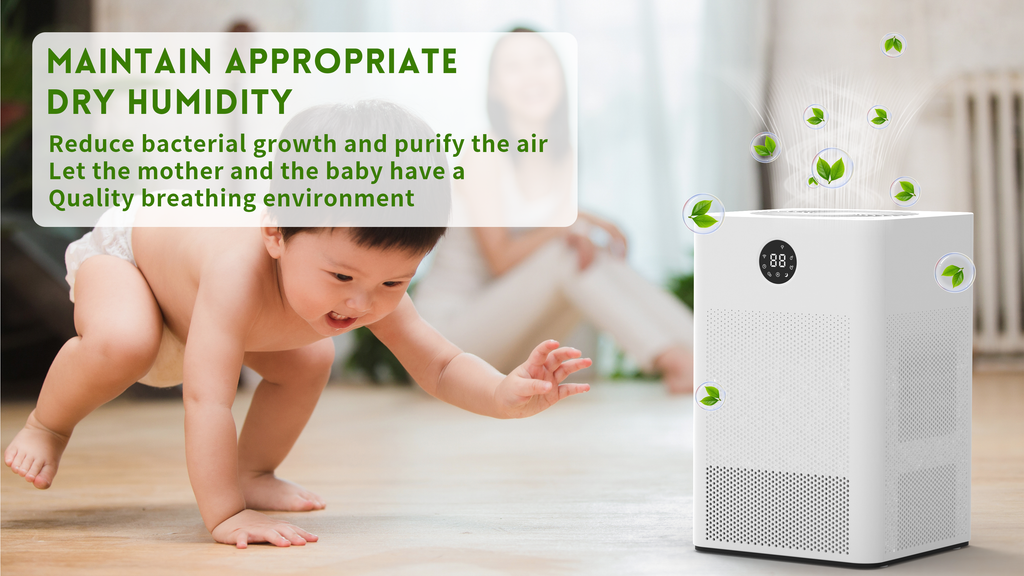Ultimate Guide to Solving Home Humidity Issues with DINZAN Rotary Dehumidifier