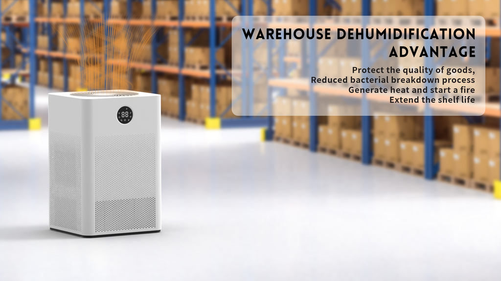 "Drown the Damp: How This 30dB Whisper-Quiet Dehumidifier Saved My Basement (Without Emptying Tanks!)"