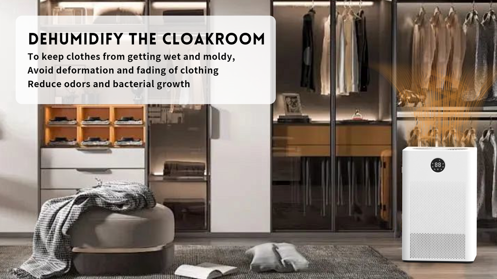 The Ultimate Home Solution: DINZAN 3 - in - 1 Dehumidifier, Humidifier & Air Purifier