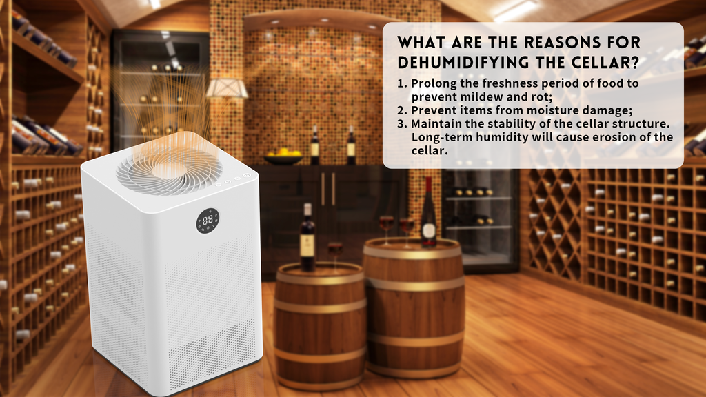 Say Goodbye to Humidity Woes: Why DINZAN Rotary Dehumidifier is a Must-Have for Your Home & RV