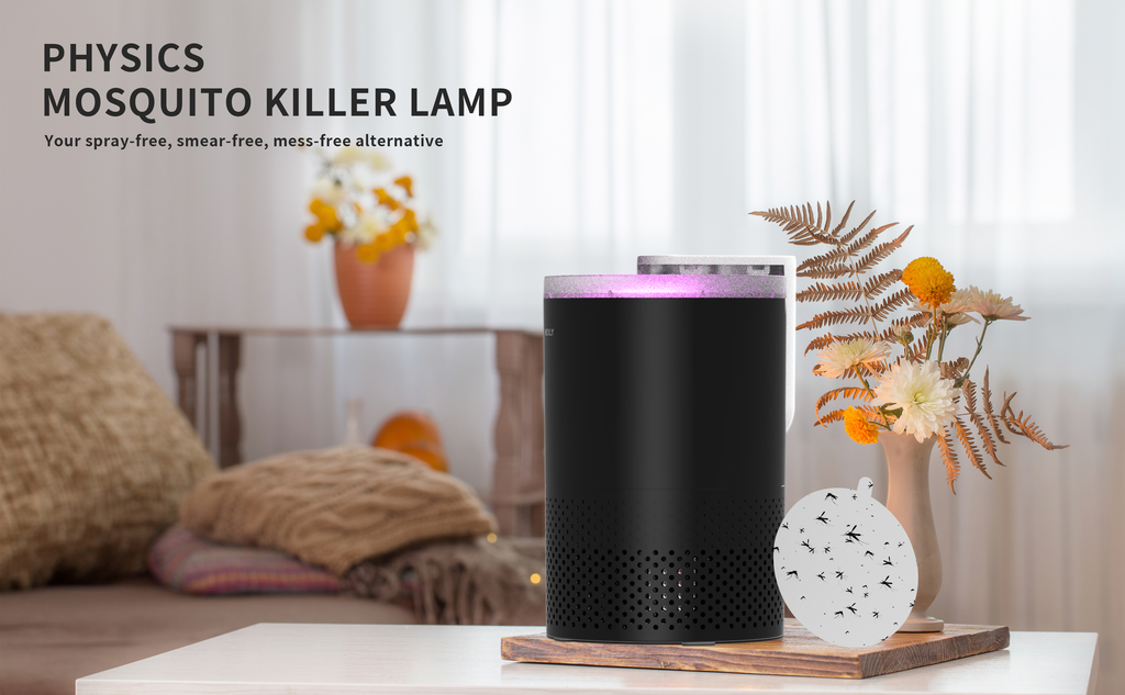 Fly Catcher Indoor: The One Trap That Solved All My Indoor Pest Problems