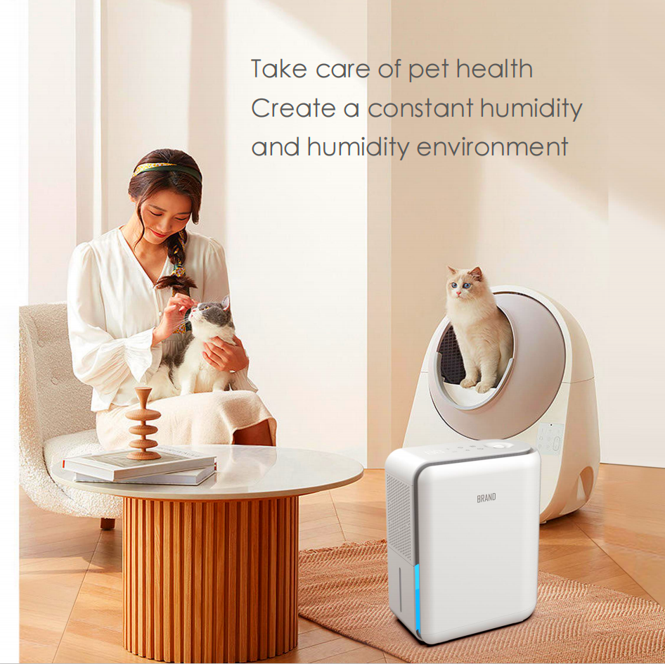 Transform Your Home Environment: The Ultimate 3-in-1 Air Quality Solution