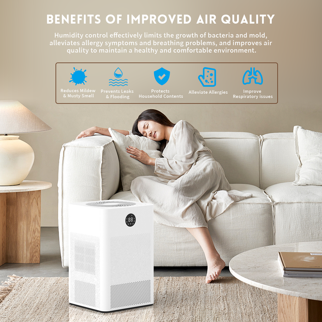 Transform Your Living Space with the DINZAN 3-in-1 Humidifier, Air Purifier, and Clothes Dryer: My Personal Before and After Experience