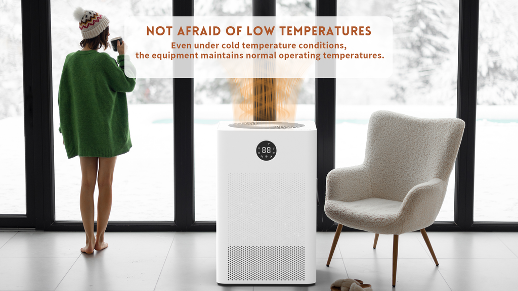 DINZAN Rotary Dehumidifier – My 7-Day Fix for Mold, Dampness, and Sleepless Nights