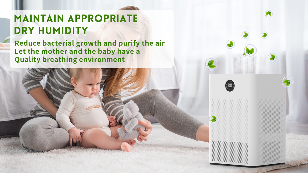 DINZAN Rotary Dehumidifier: Ultra Quiet, Portable, and Perfect for Bedrooms, Basements & RVs – Here’s Why It Stands Out