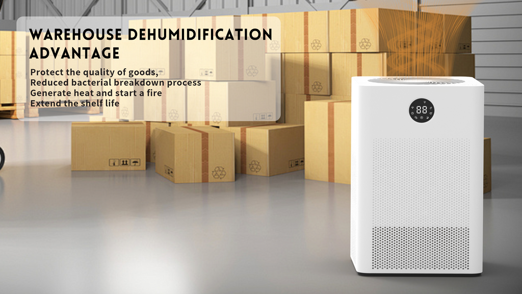 Revolutionize Your Indoor Environment with the DINZAN 23Y: The All-in-One Wonder for Humidity and Air Quality