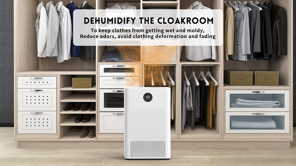 DINZAN Rotary Dehumidifier – The Ultimate Solution for Mold-Free, Allergy-Free Living