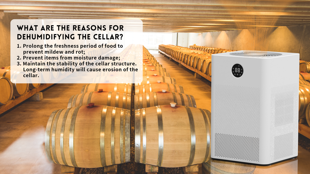 DINZAN Rotary Dehumidifier – The Ultimate Solution for Mold-Free, Allergy-Free Living