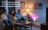 Fly Catcher Indoor, Fly Trap Indoor, Fruit Fly Traps for Indoors, Gnat Traps for House Indoor, Bug Killer, Fly Trap, Plug in Light Flying Insect Trap